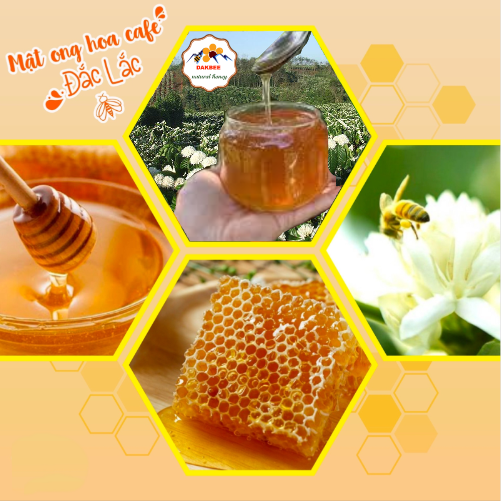 330ml (470g) mật ong ngon dakbee, tăng cường sức khỏe, nâng cao hệ miễn dịch [DAKBEE_330ML]