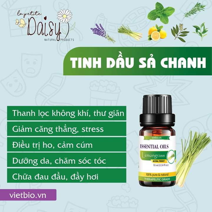 Tinh dầu sả chanh 50ml
