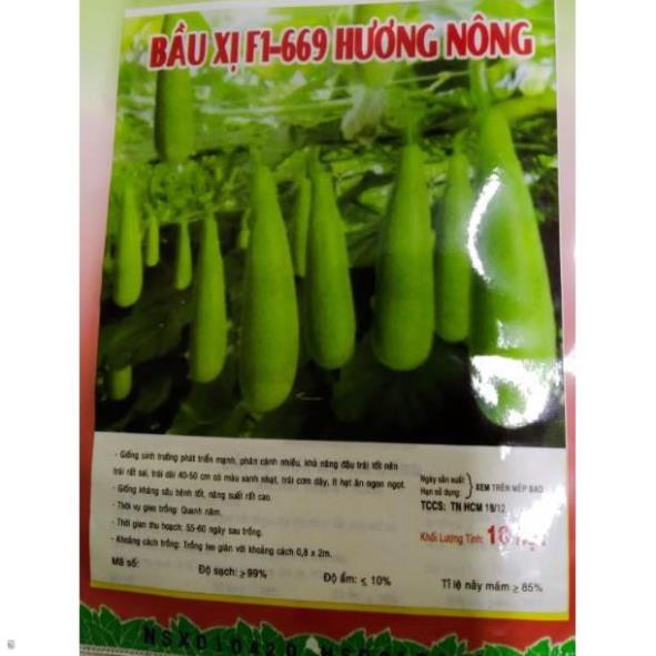 Hạt giống bầu xị F1 - gói 10 hạt