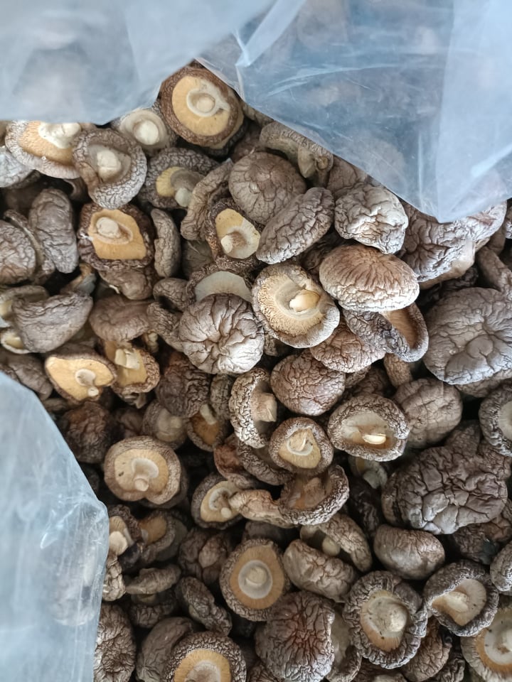 Nấm Đông Cô ( nấm hương) 50gr
