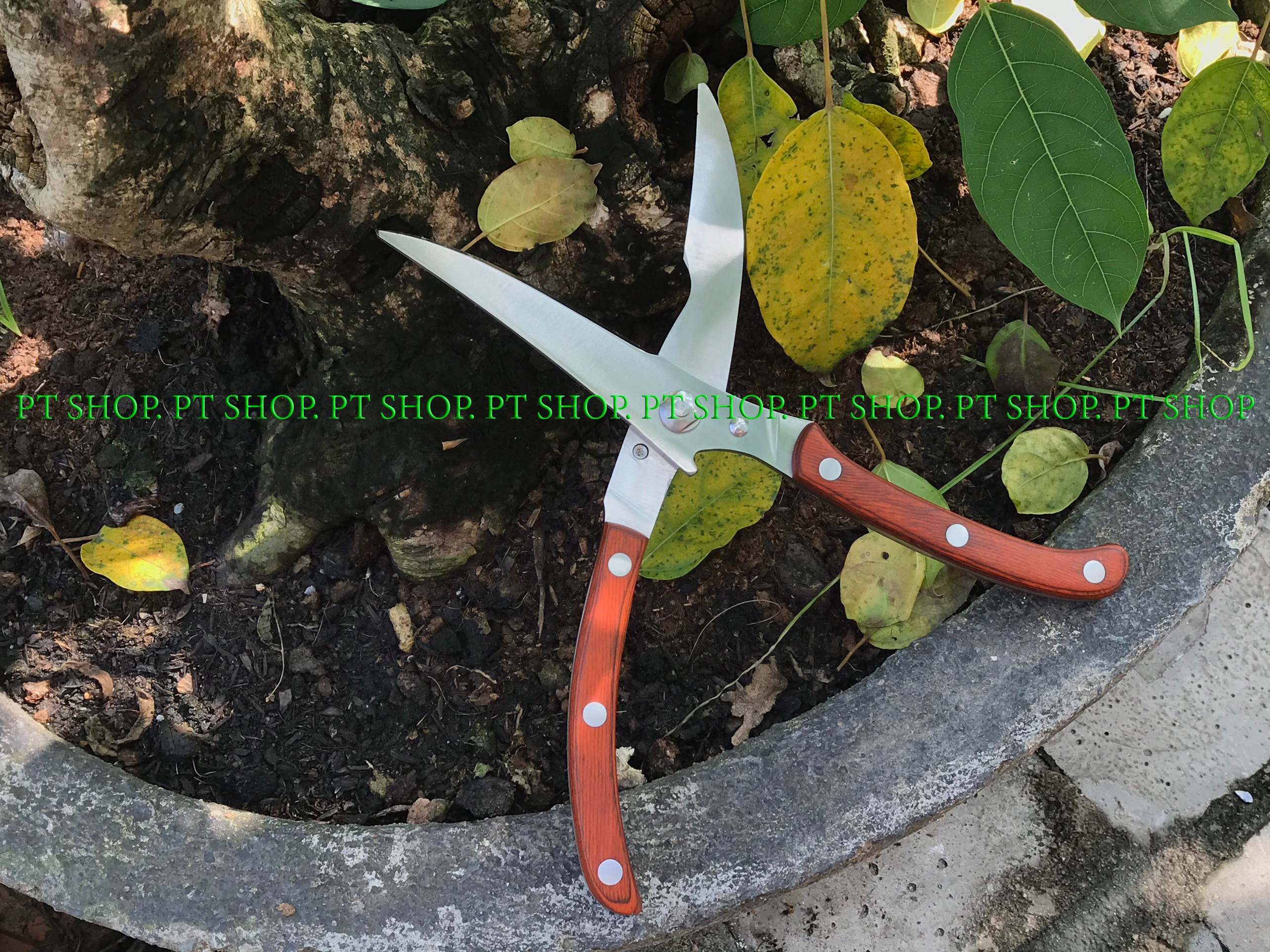 kéo cắt gà seki - cắt cả thế giới