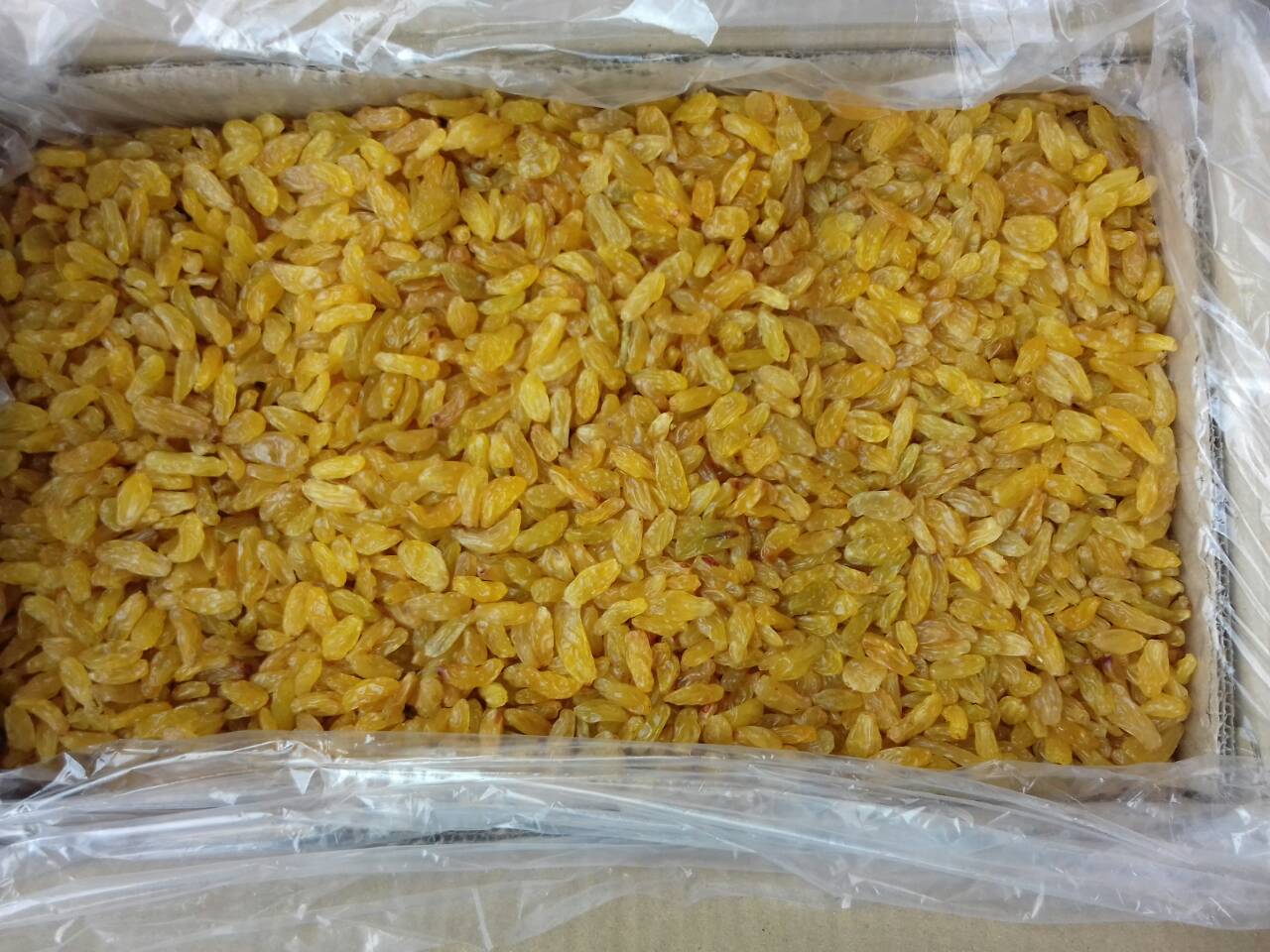 Nho Khô Vàng Ấn Độ 500gr (chiết lẻ từ thùng 10kg)