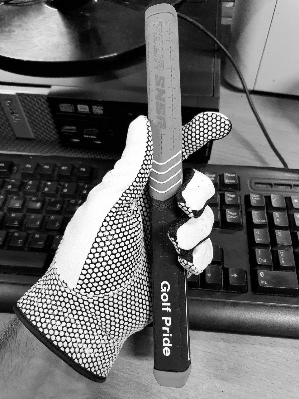golf gloves JS 골프장갑
