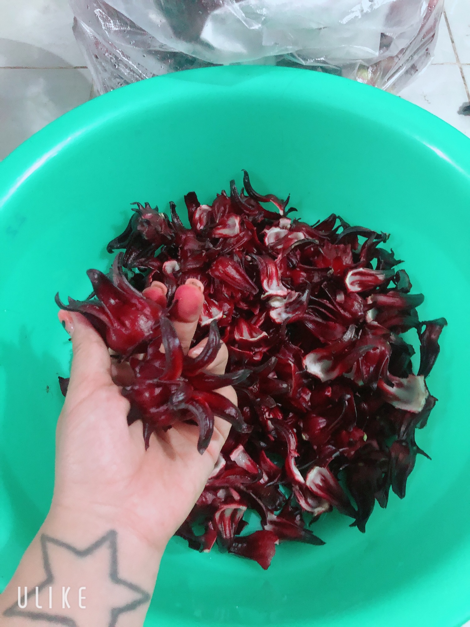 [HCM]Mức atiso đỏ