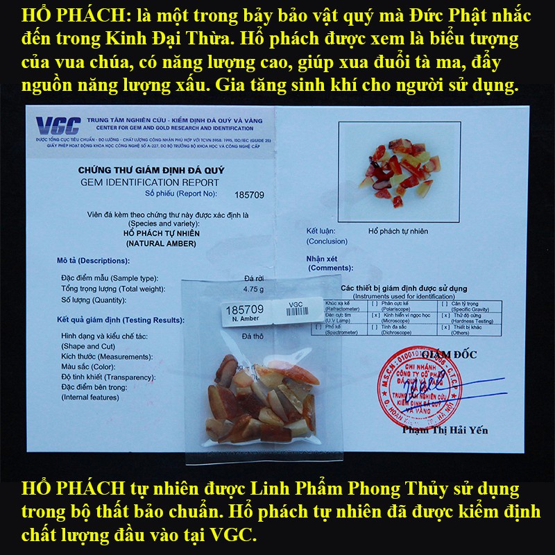 Bộ Cốt Thất Bảo, Cốt Bát Hương Bát Nhang[Hàng Chuẩn]