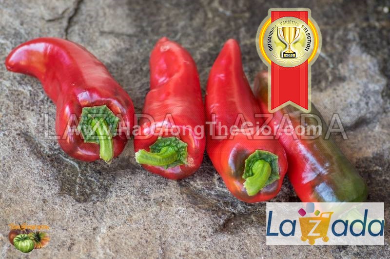 5GR 650.HẠT Hạt Giống Ớt Ngọt Sừng Đỏ 20cm (| C2*W43)