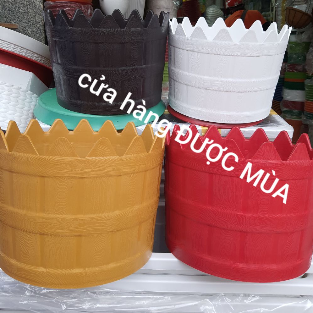 chậu hàng rào tròn đường kính 30cm.
