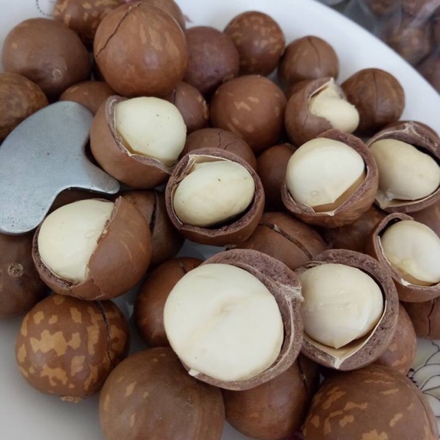 500G HẠT MẮC CA ĐĂK LĂK SẤY