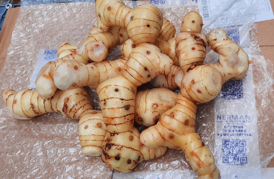 riềng