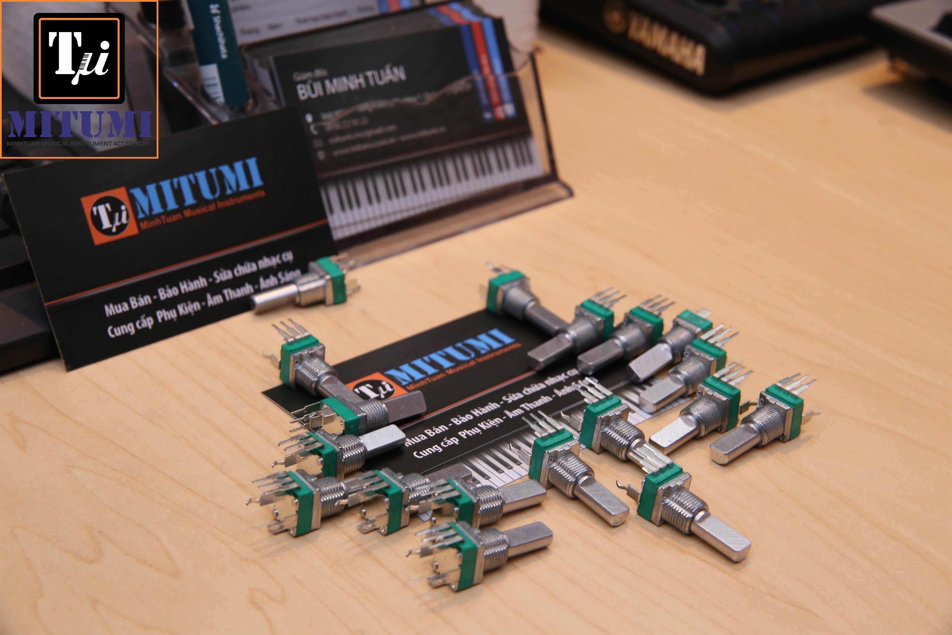 Linh kiện Bend ROLAND BK5 BK9 GW8 EA7 Juno Fantom