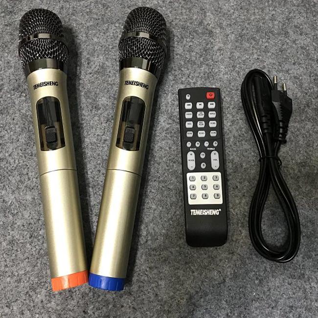 LOA KÉO DI ĐỘNG TEMEISHENG TMS-802
