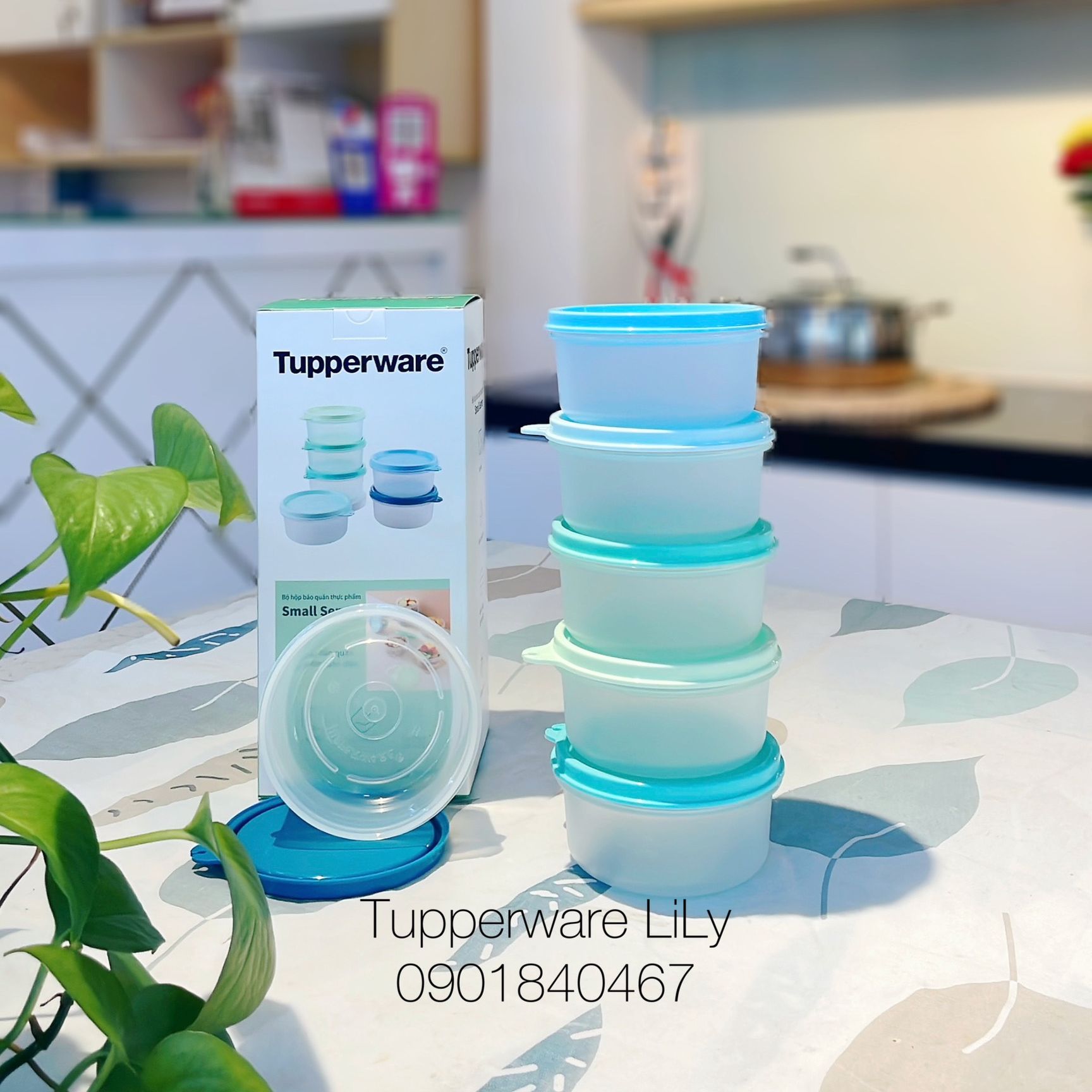 Bộ hộp BQTP Colorful Small Server 200ml (6 hộp) màu mới - Tupperware