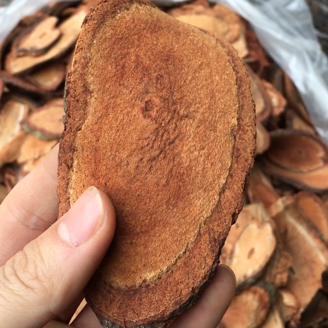 100gram cỏ máu khô nguyên chất