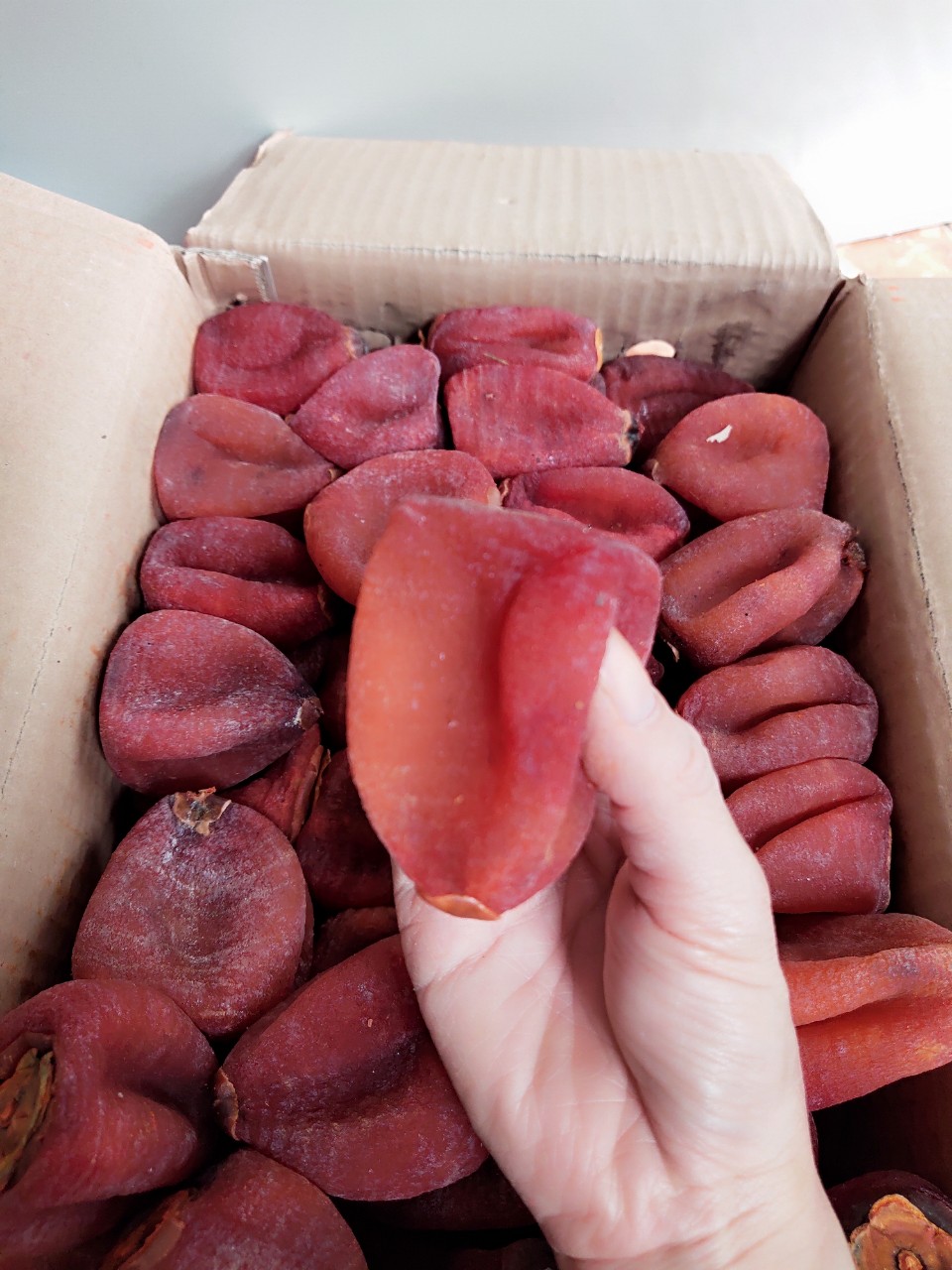 [FREESHIP MAX] 1kg hồng treo gió loại ngon [hangdaklak]