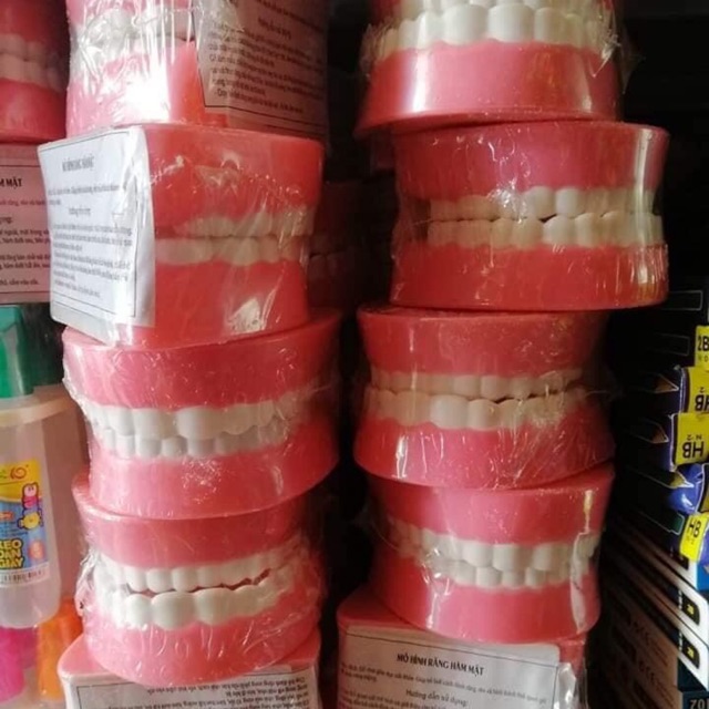 Đồ chơi mô hình hàm răng nhựa, đồ chơi thông tư