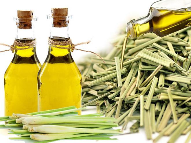 Tinh dầu sả chanh Lemongrass