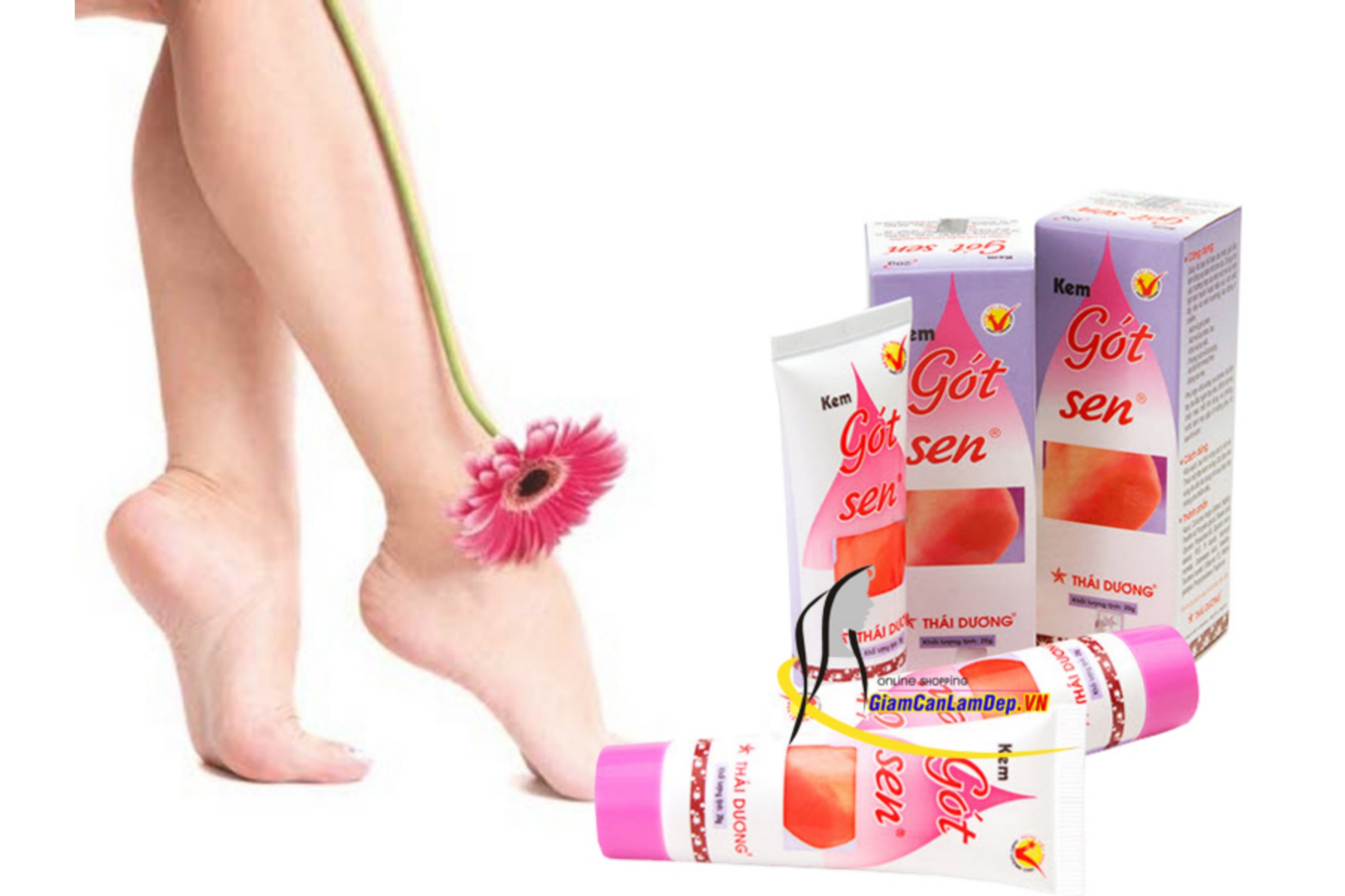 [CAM KẾT CHÍNH HÃNG] KEM GÓT SEN 20GR