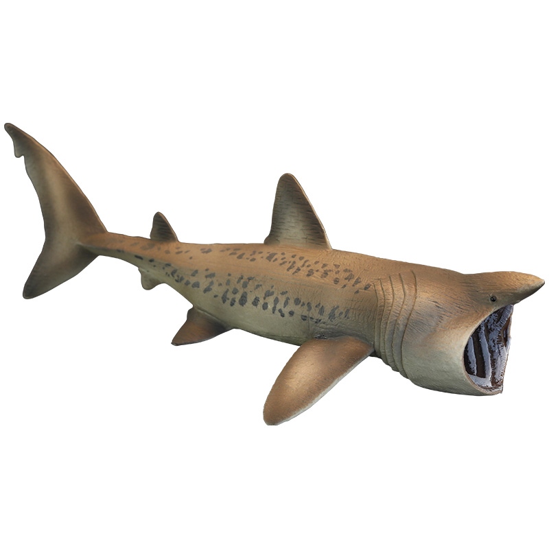 Children's solid simulation marine animal toy model basking shark elephant sand mouse cognitive gift ornaments