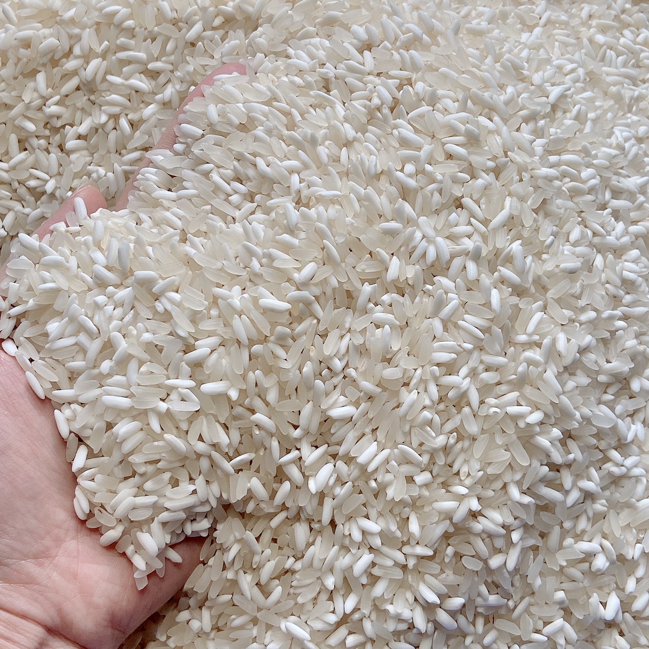 Gạo Nếp Lương Điện Biên 1kg