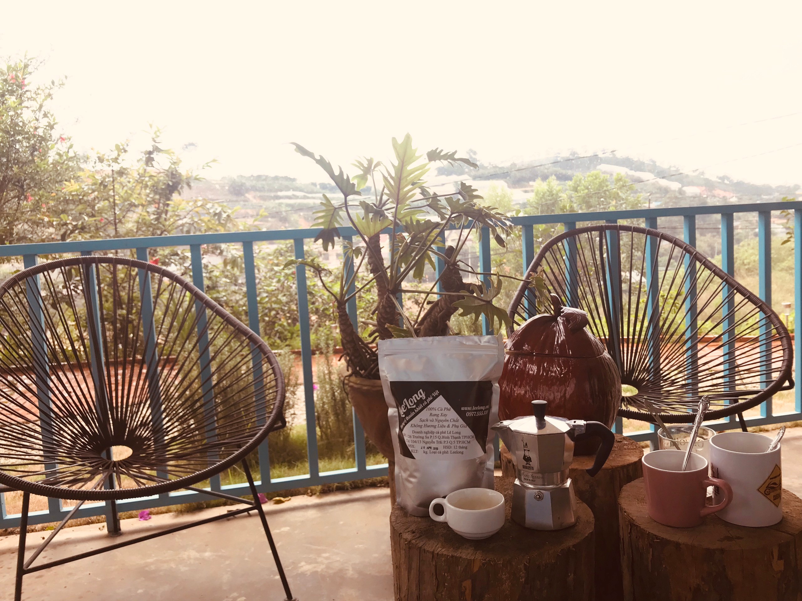 cà phê nhân sống chưa rang Robusta Đắk Lắk - Arabica Cầu Đất