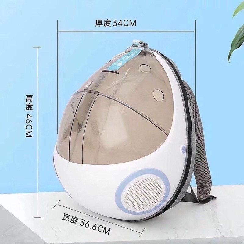 Balo bọ rùa Lady Bug vận chuyển cho chó mèo
