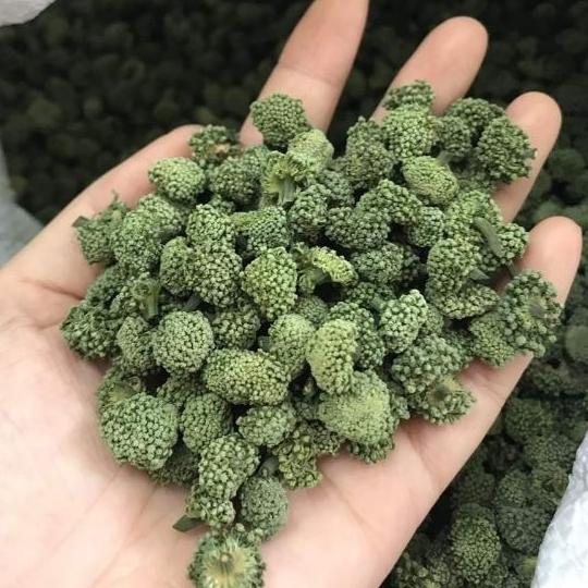 Nụ Hoa Tam Thất Bao Tử (Nụ Không Chân 500gr)