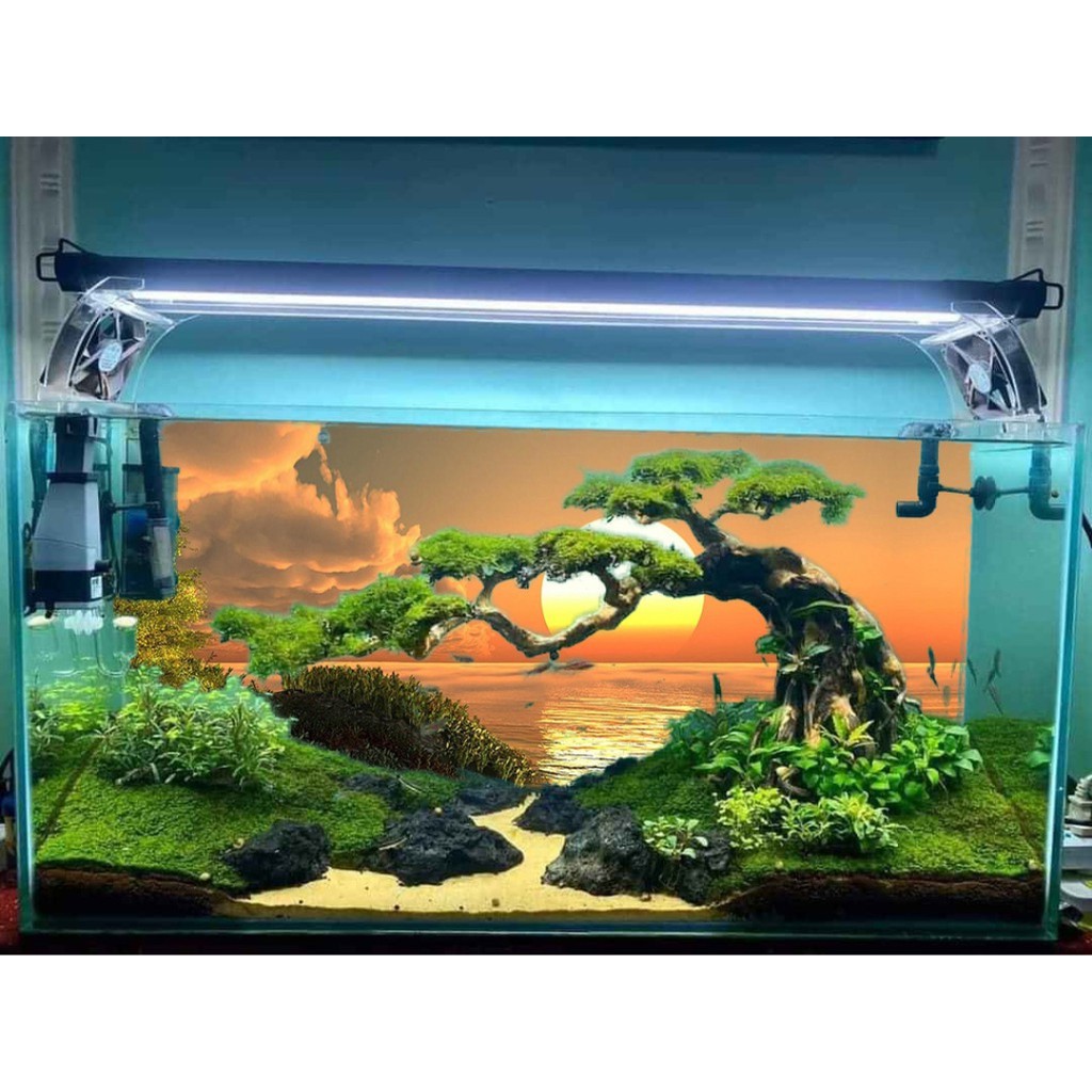 tranh 3d bể cá