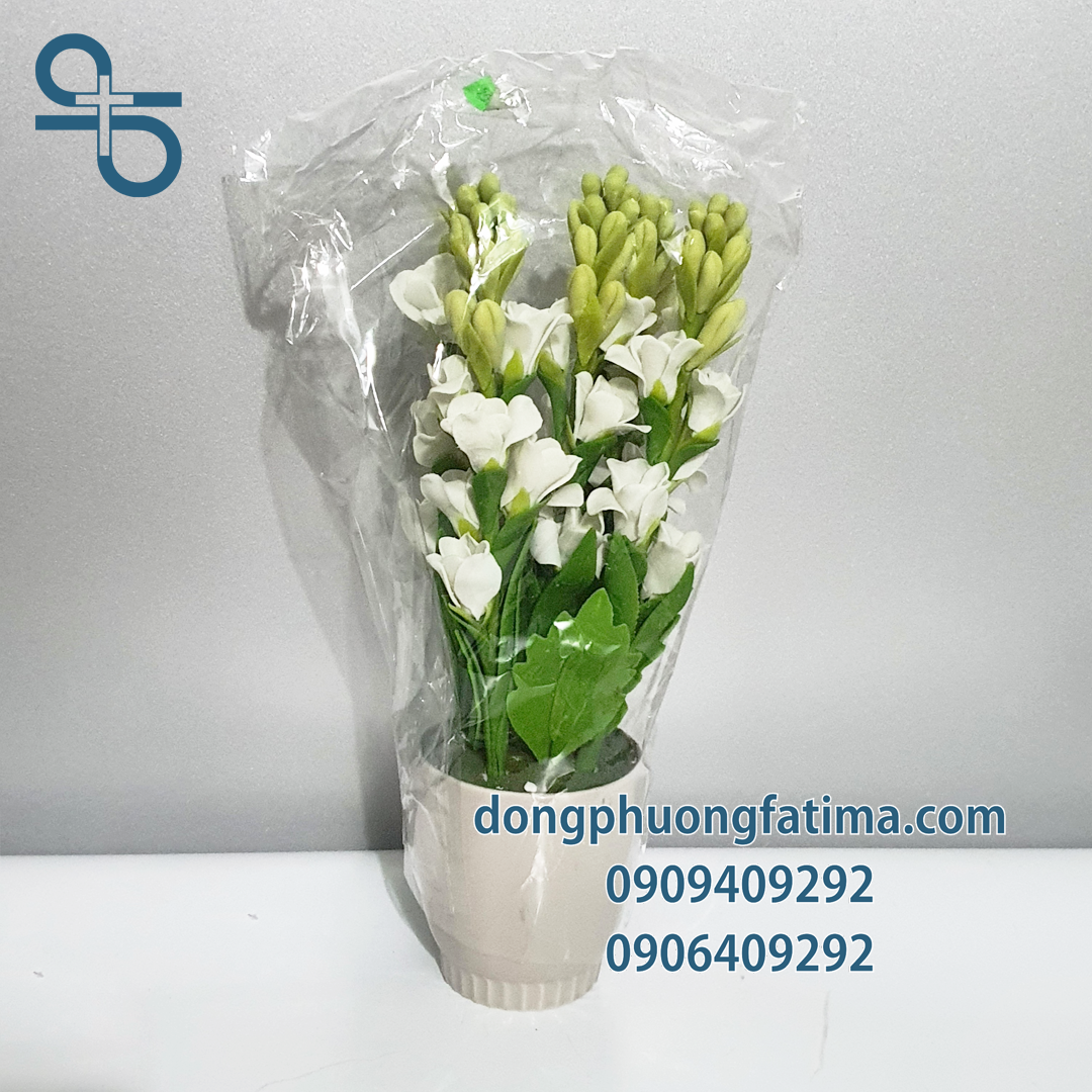 Chậu Hoa Huệ Đất Sét (Lớn)