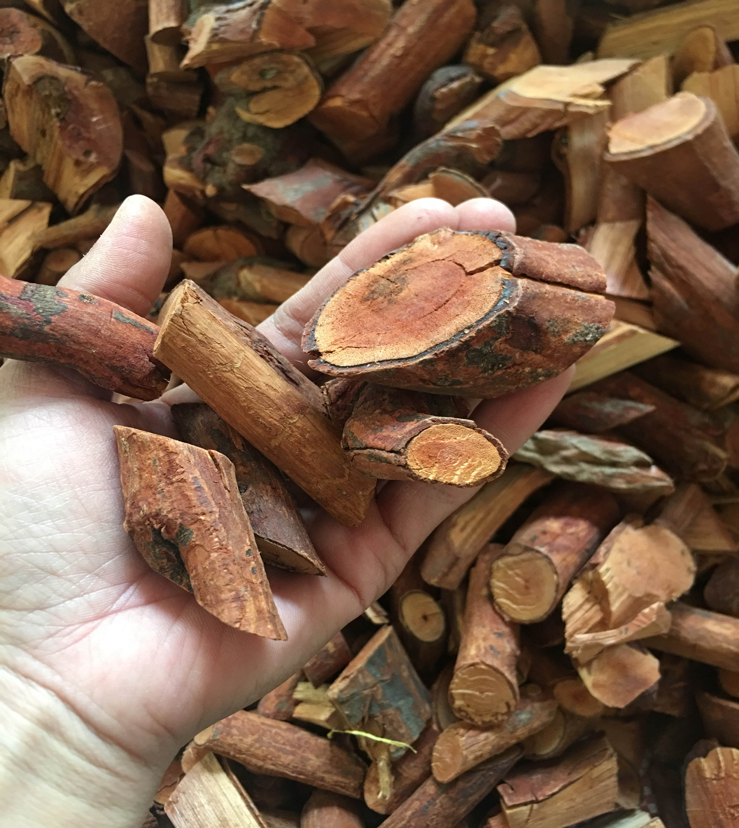 2Kg  Mú Từn Sơn La - Điều Trị Yếu Sinh Lý