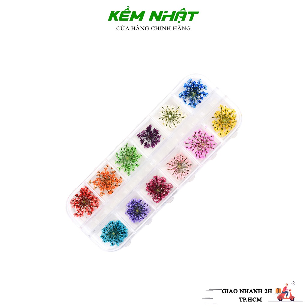 [HCM]Hoa Khô Chùm Ẩn Gel
