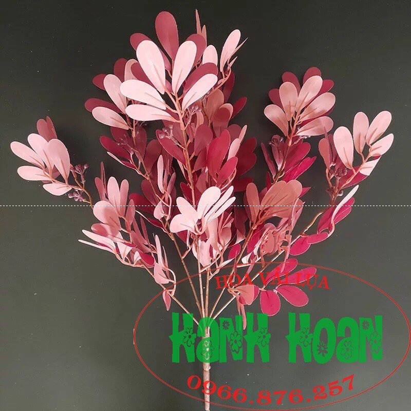 Chùm lá thanh mai - Lá giả