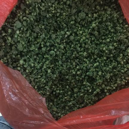 500g nụ hoa tam thất