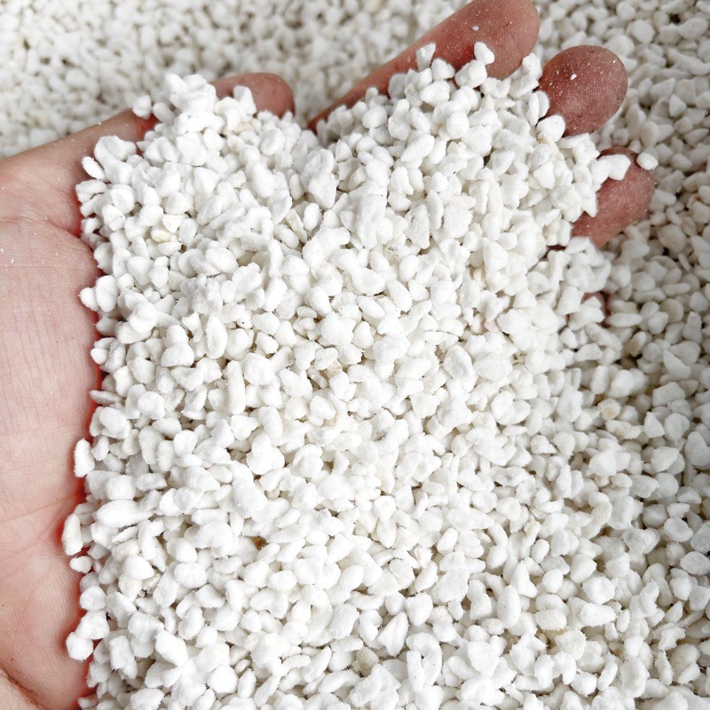 Đá perlite (100g)