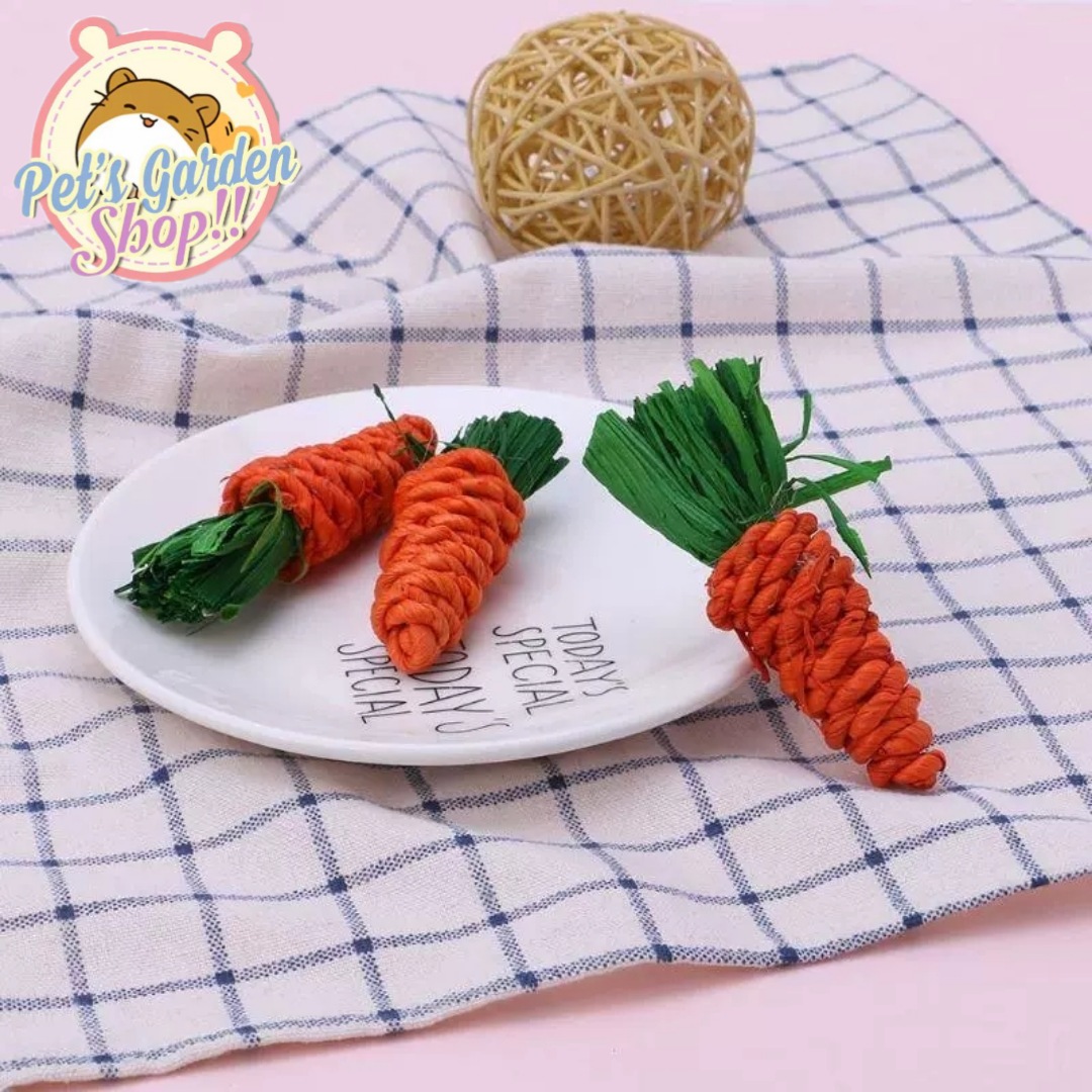 Cà rốt mài răng cho hamster