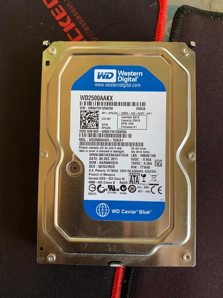 Ổ cứng Western Digital 250GB Blue SATA  Hàng máy bộ siêu bền (Tặng kèm cáp sata xịn)