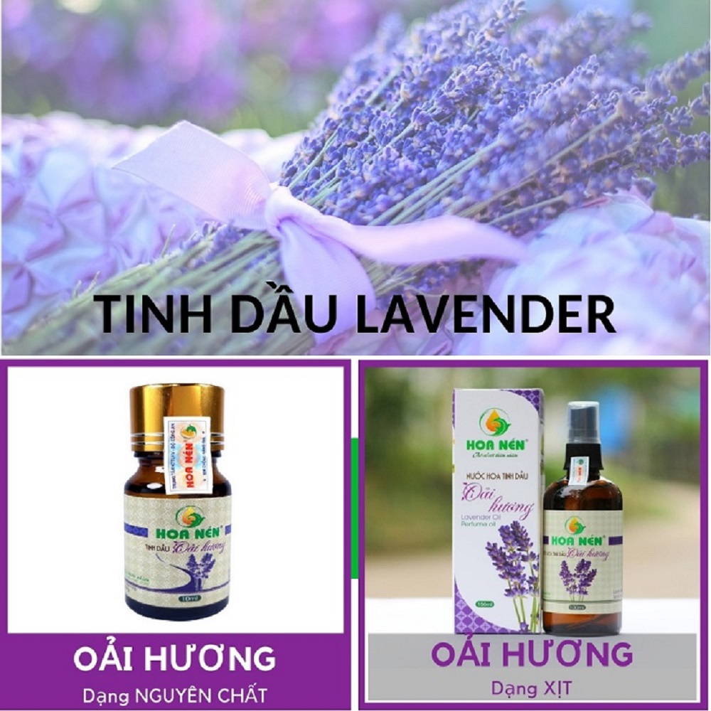 Tinh dầu Oải hương lavender thơm phòng dung tích 10/100ml an toàn cho người dùng qua đèn xông hoặc dùng trực tiếp lau nhà ngâm mùng màn quần áo Công ty Hoa Nén hàng Việt Nam mã 45000