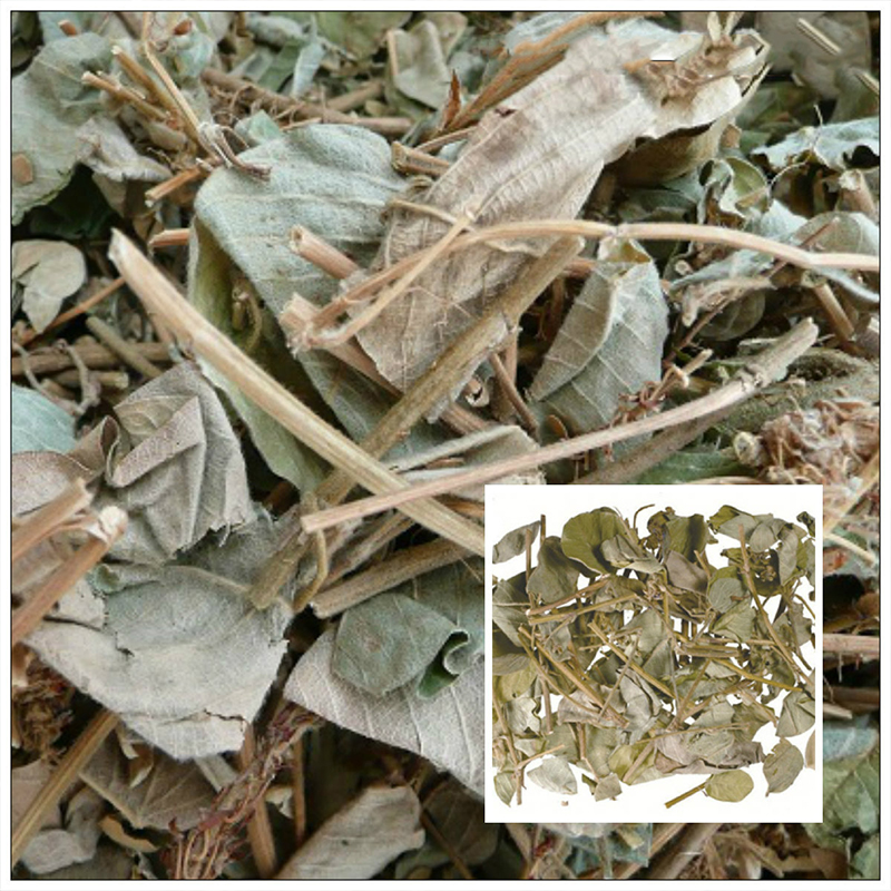 Kim tiền thảo (gói 1kg khô) - DB006