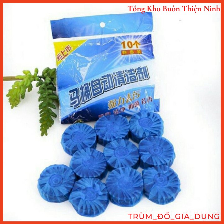 10 PCs super clean toilet seat erasers to remover stain and speed up toilet septic