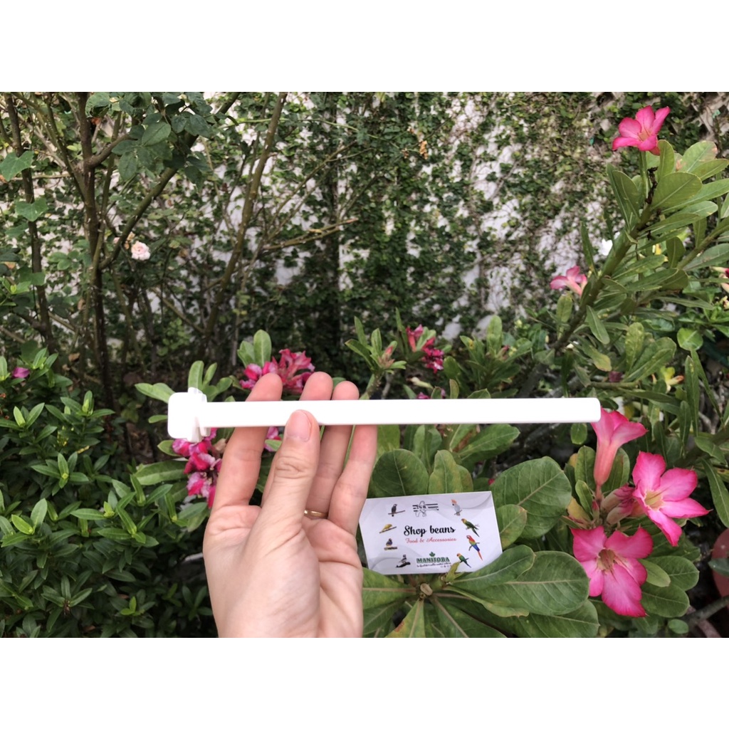 Cành đậu cho chim 18cm hàng ý