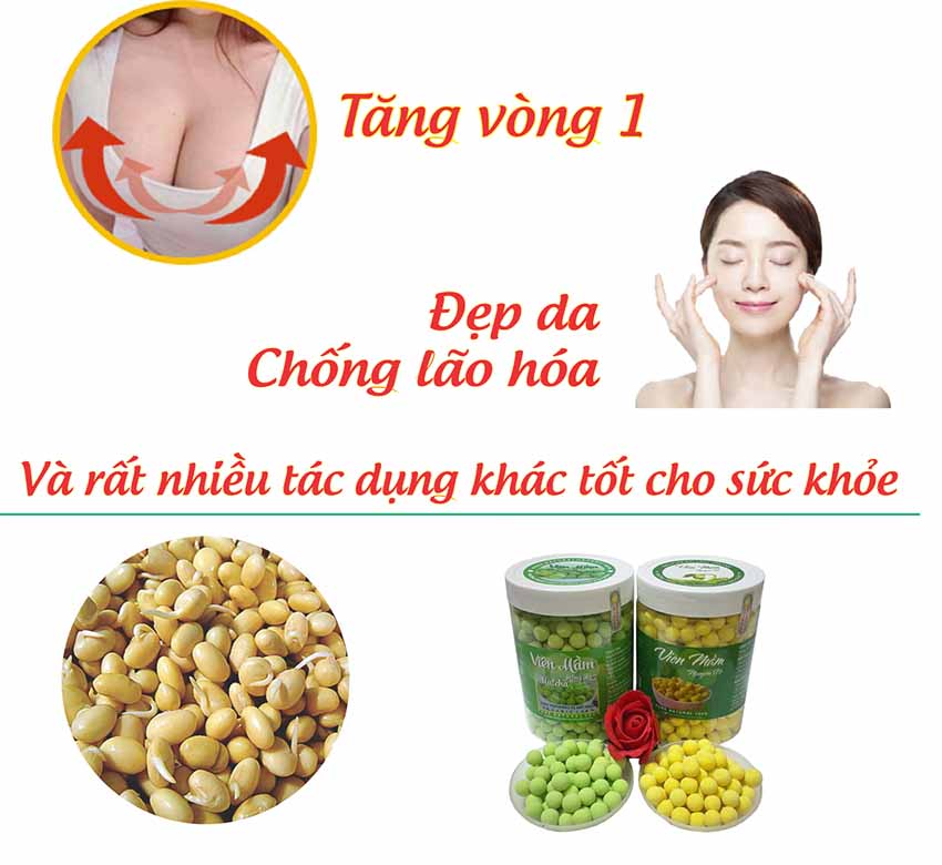 (2KG 4 hộp) - Kẹo Mầm Đậu Nành Nguyên Xơ