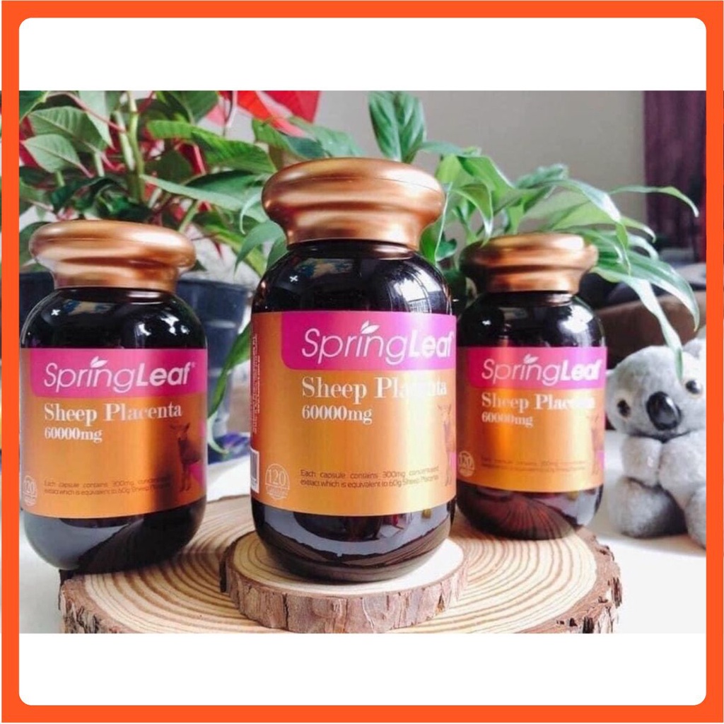 Nhau thai cừu Sheep Placenta SpringLeaf 60000mg 120 viên - Úc
