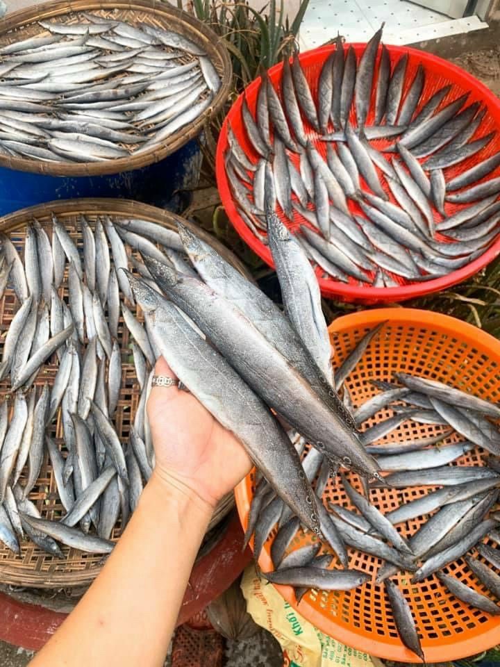 Khô cá chạch đồng 500g