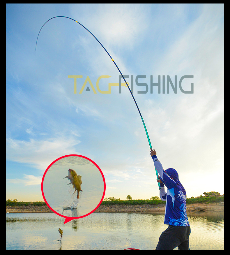 Cần Guide Bashen Thắng Lợi Xanh 6H 19i