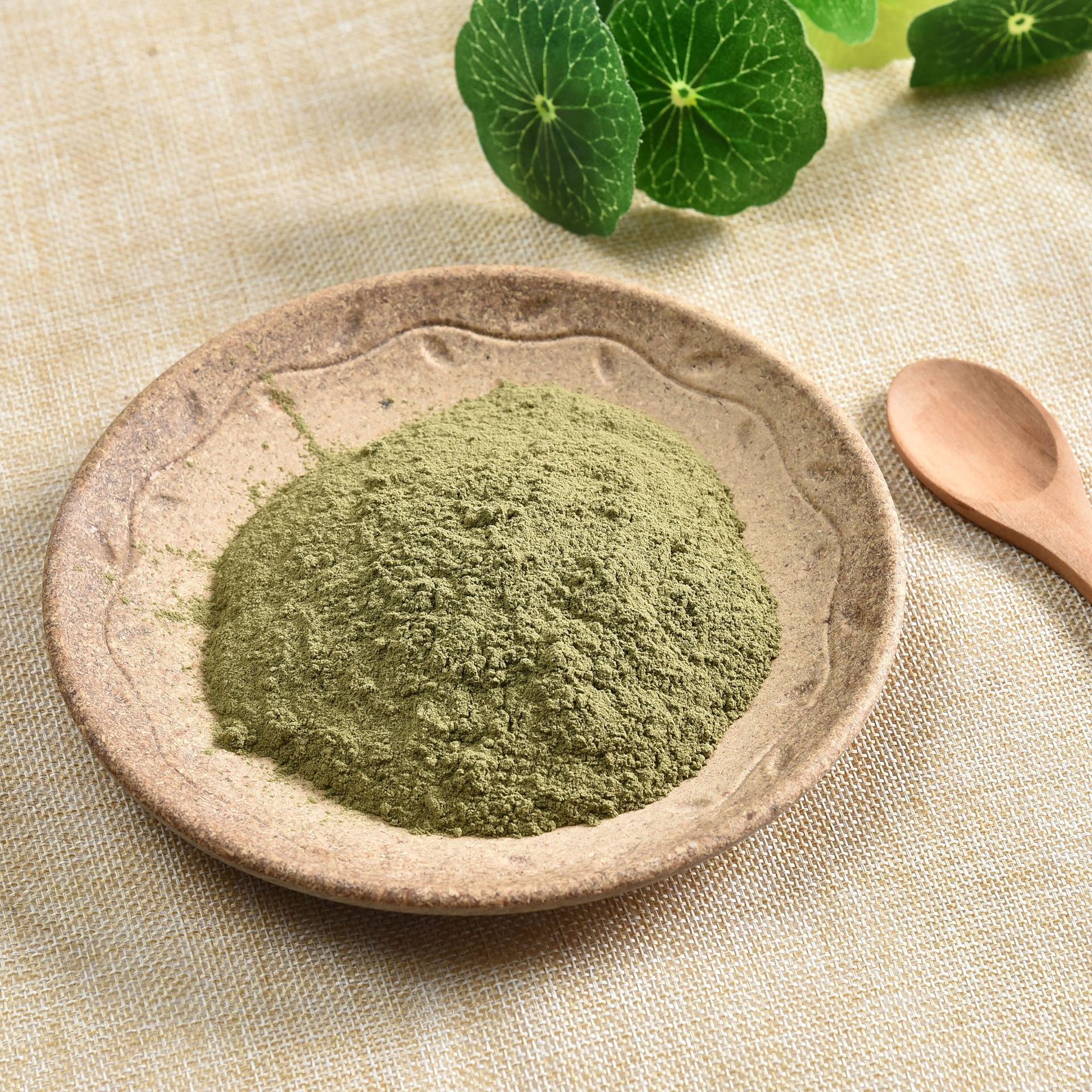 Pure Mint Powder 100g