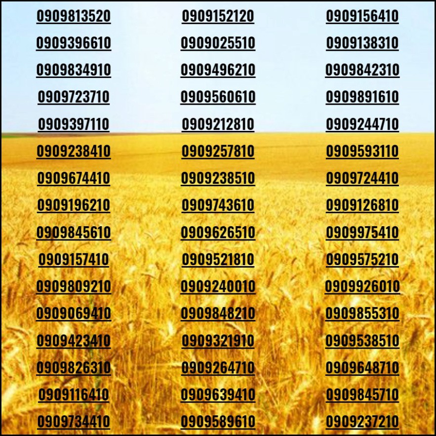 [HCM]Sim đẹp Số tiến