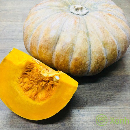 Hạt giống bí đỏ tròn - gói 2 gram
