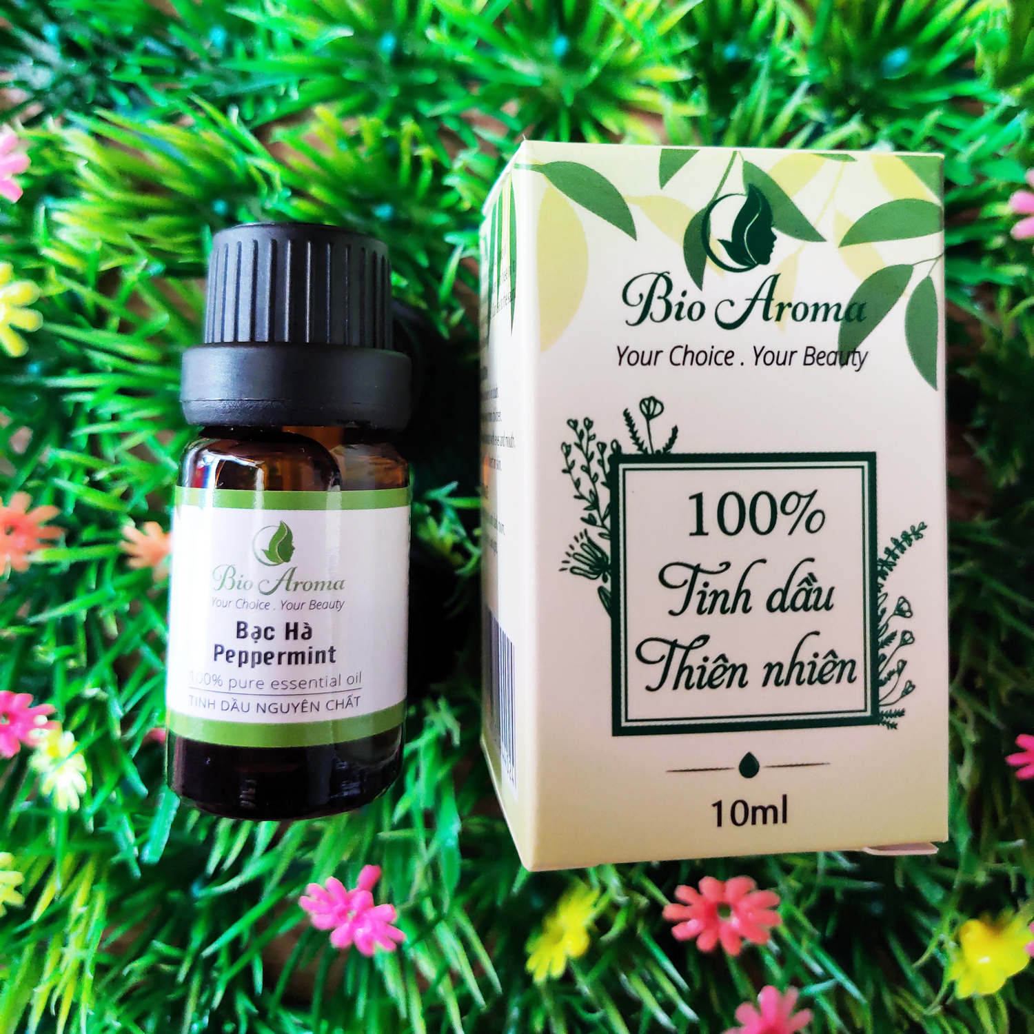 Tinh dầu bạc hà nguyên chất 100% 10ml Bio Aroma, khử mùi hôi, đuổi muỗi, chuột, côn trùng có hại