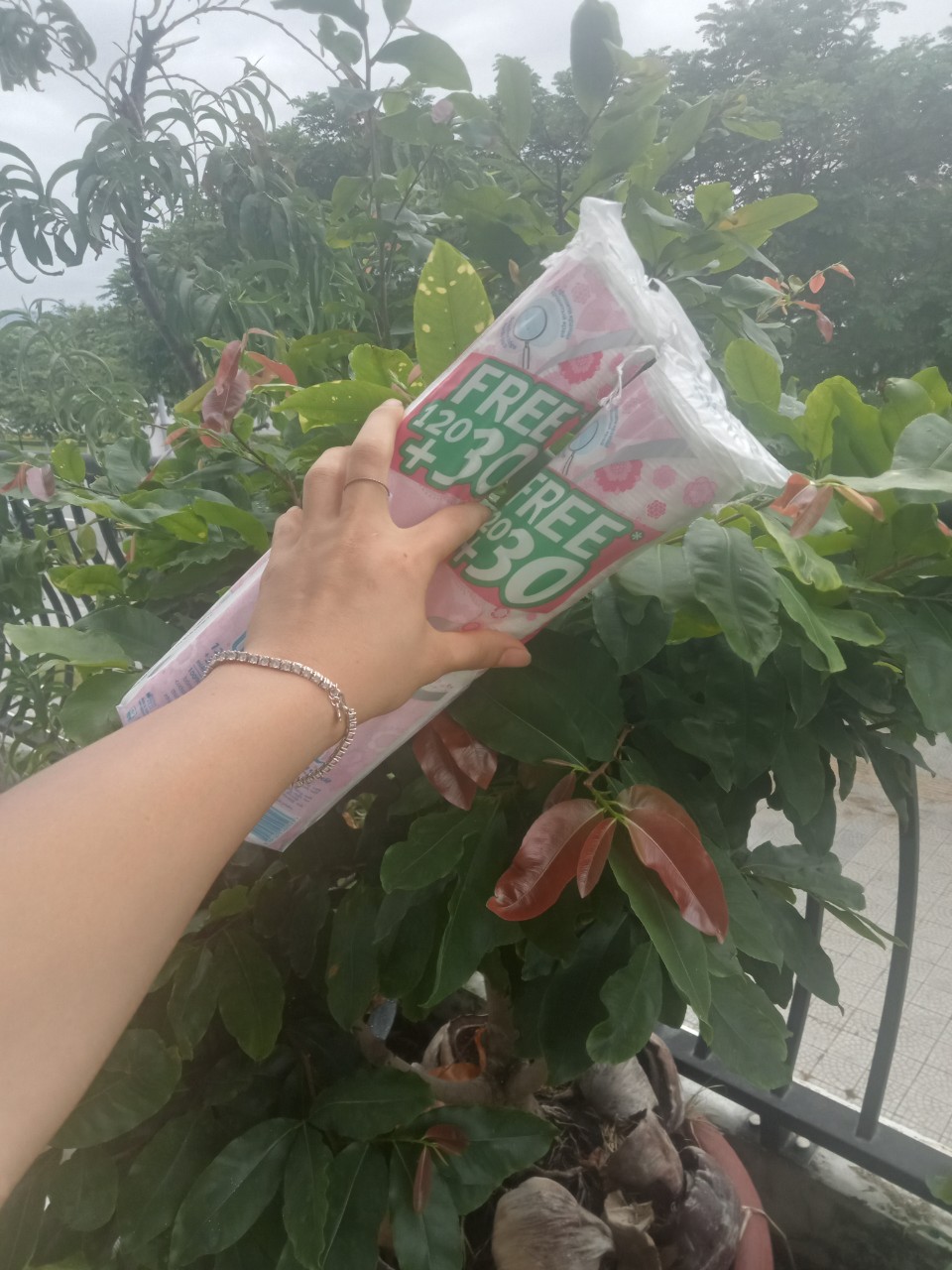 Combo2 Bông tẩy trang Ipek siêu mềm mịn 150 miếng