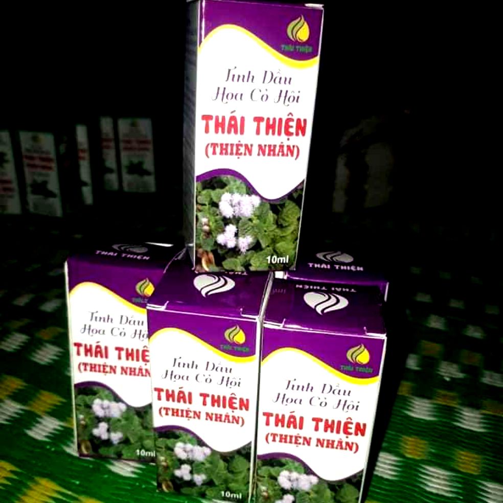 Tinh dầu hoa cỏ hôi (Hoa ngũ sắc)