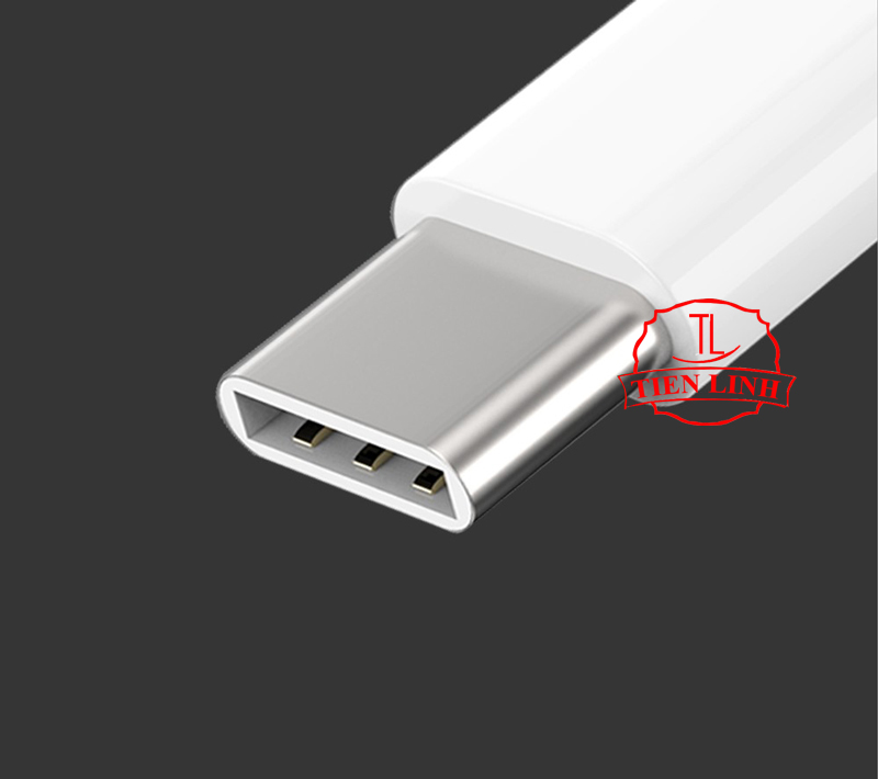 Bộ 2 cái đầu chuyển đổi chân Micro USB (Cái) sang Type C